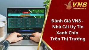 Đánh giá VN8