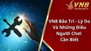 VN8 bảo trì