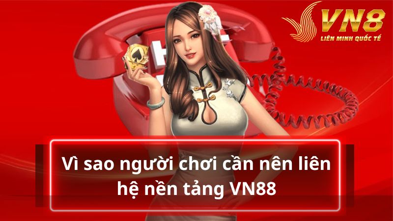 Tìm hiểu lý do người chơi nên liên hệ VN8