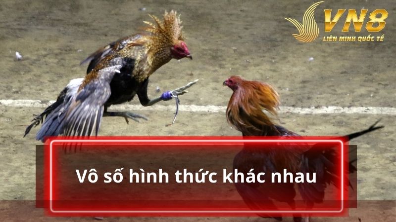 Vô số hình thức cược khác nhau