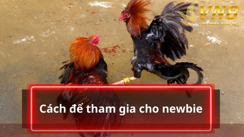 Cách để tham gia dành cho newbie